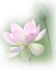 Luk Siam's Avatar